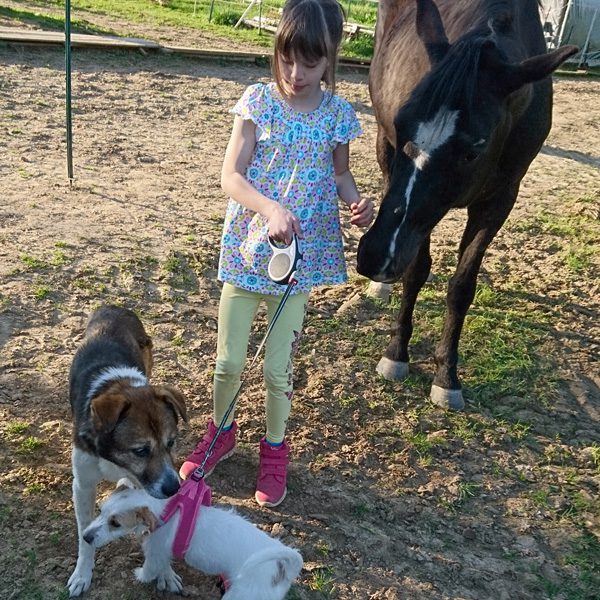 Nina mit ihren Tieren